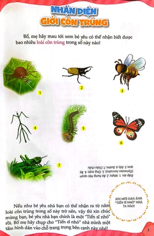 10 vạn câu hỏi vì sao - thế giới côn trùng (tái bản) - Ảnh 3