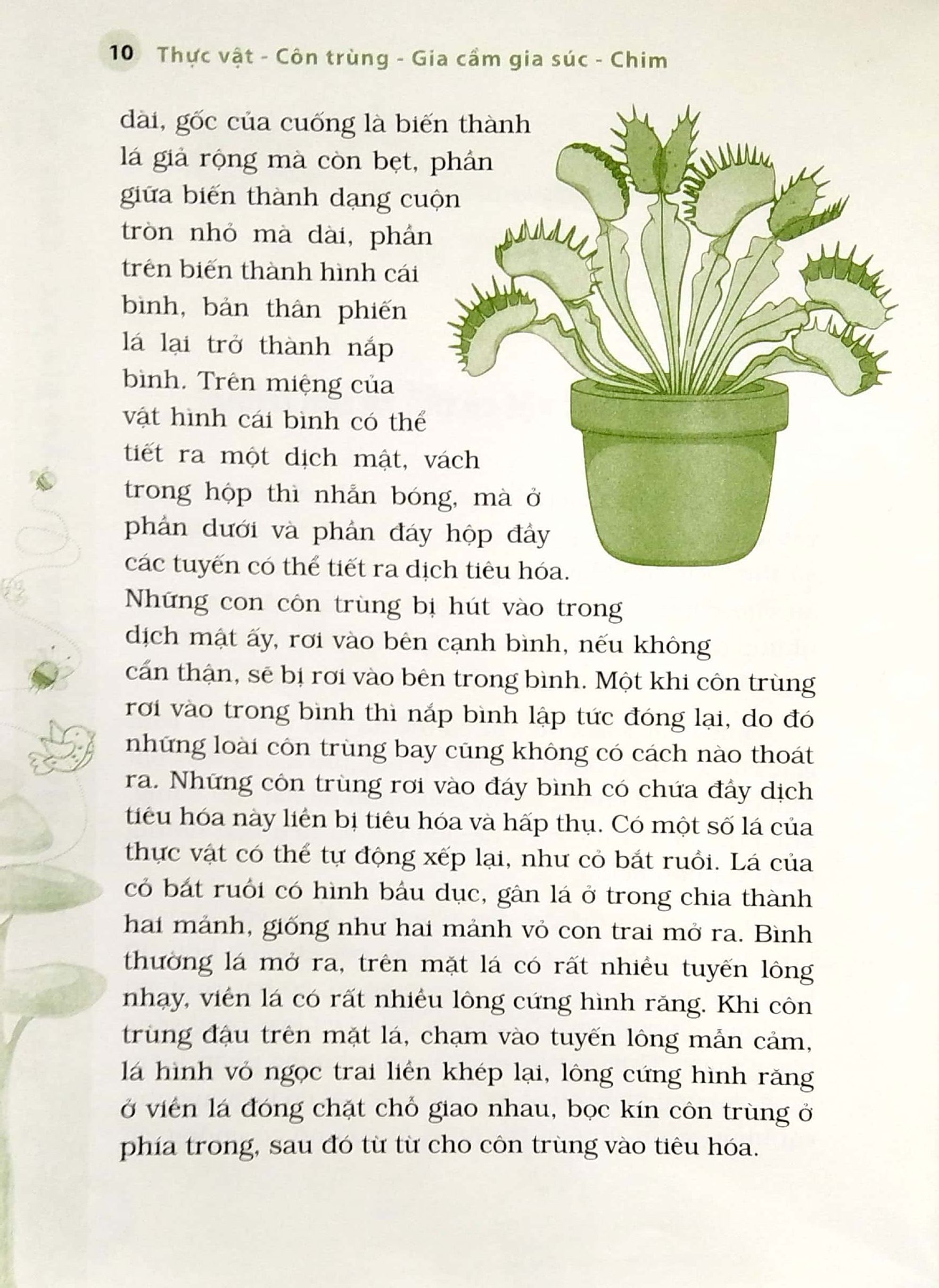 10 vạn câu hỏi vì sao? - thực vật - côn trùng - gia cầm - gia súc - chim - Ảnh 5