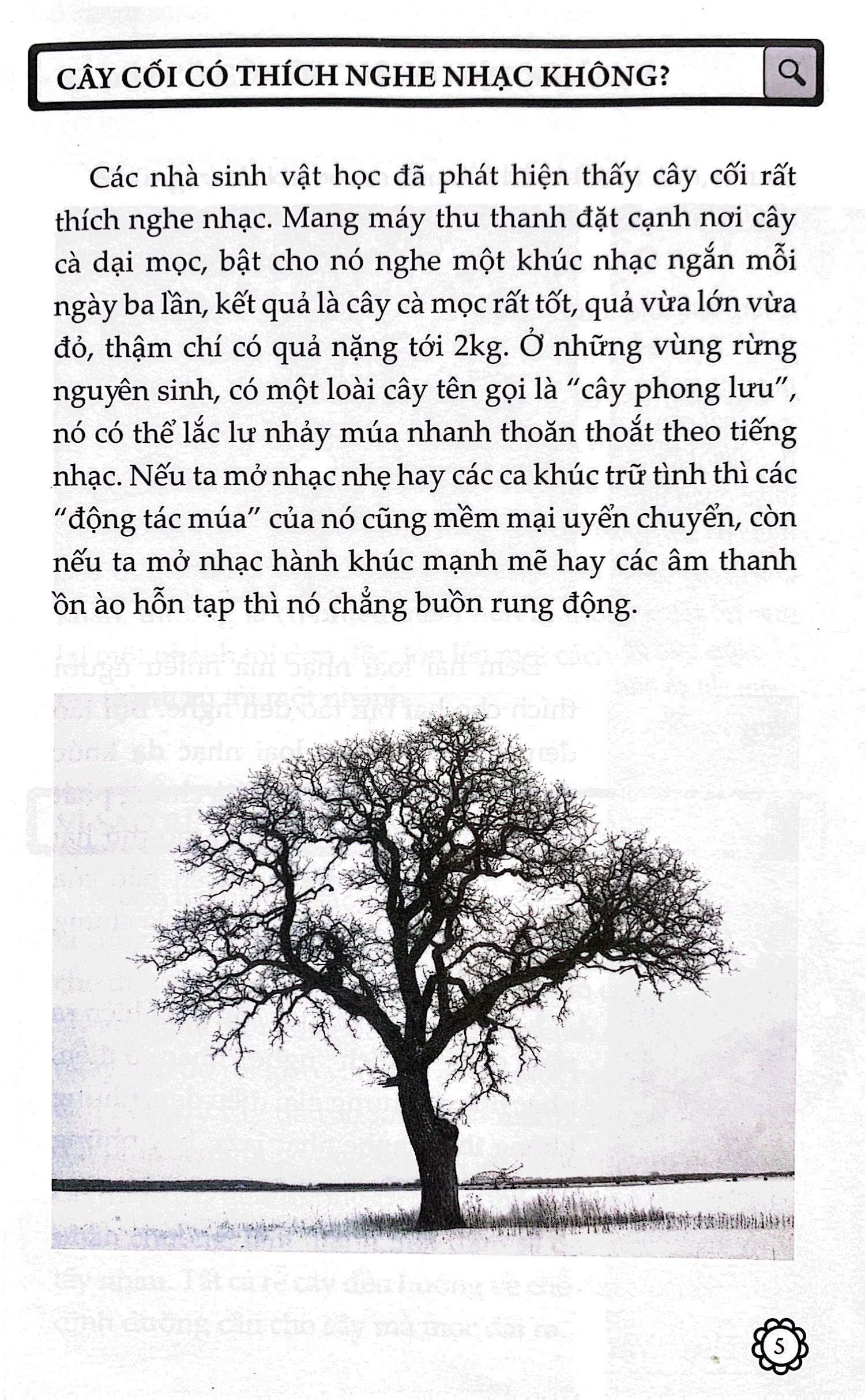 10 vạn câu hỏi vì sao? - thực vật (tái bản 2023) - Ảnh 4
