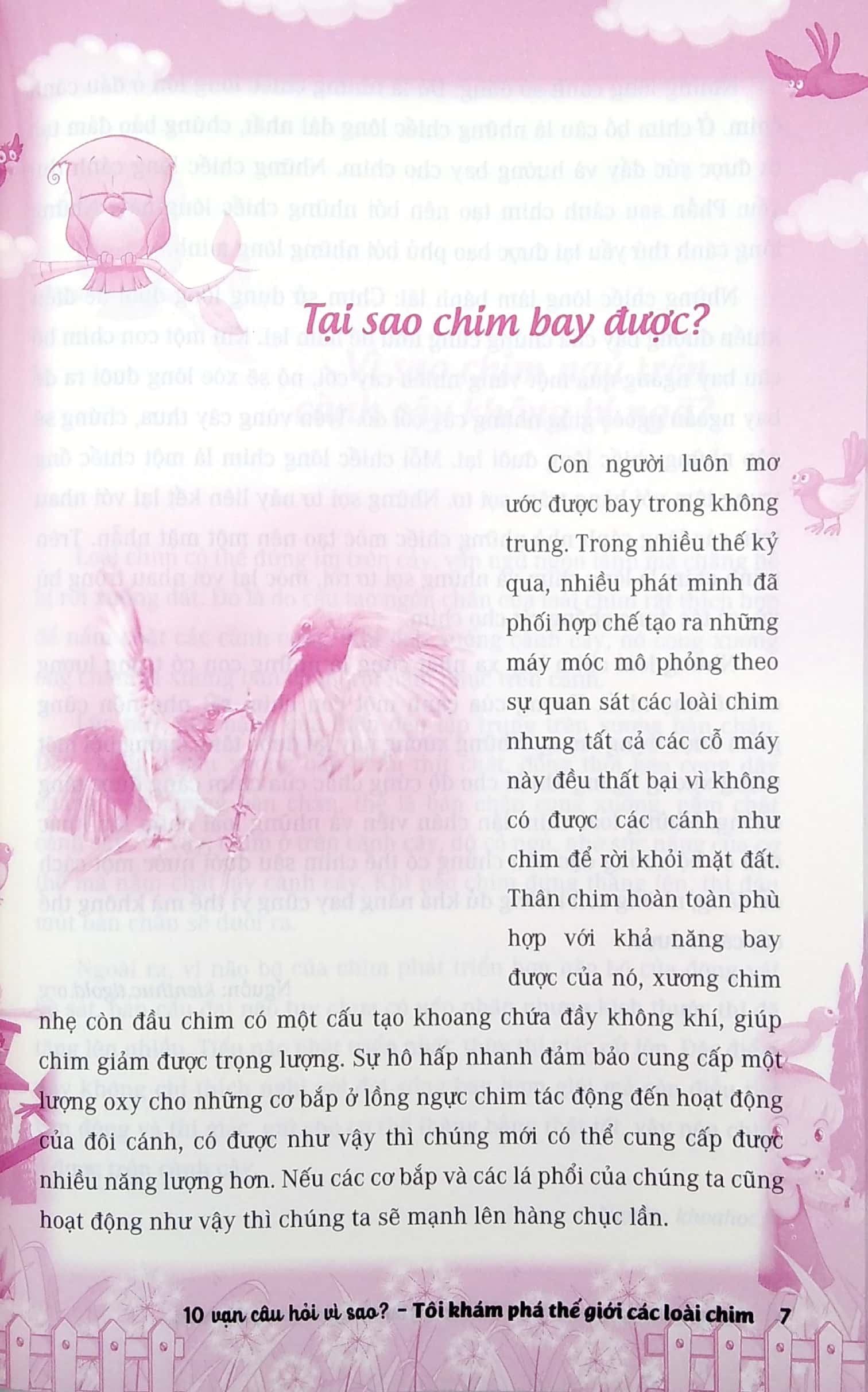 10 vạn câu hỏi vì sao - tôi khám phá thế giới các loài chim - Ảnh 6