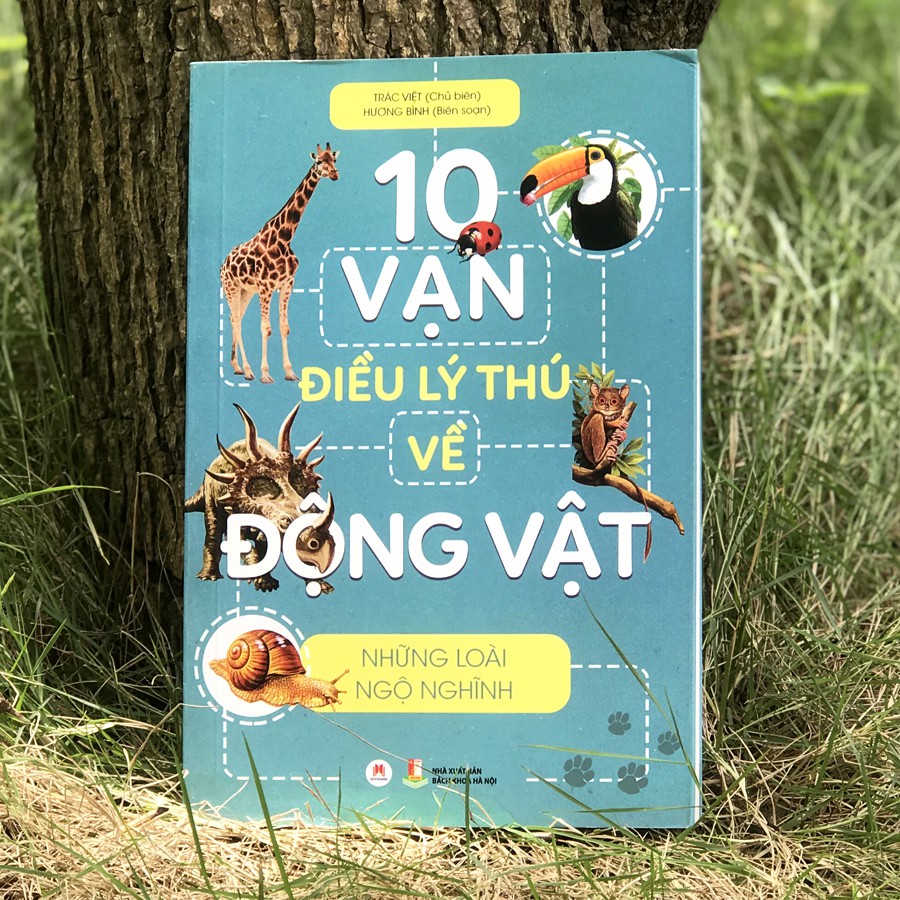 10 vạn điều lý thú về động vật - những loài ngộ nghĩnh - Ảnh 3