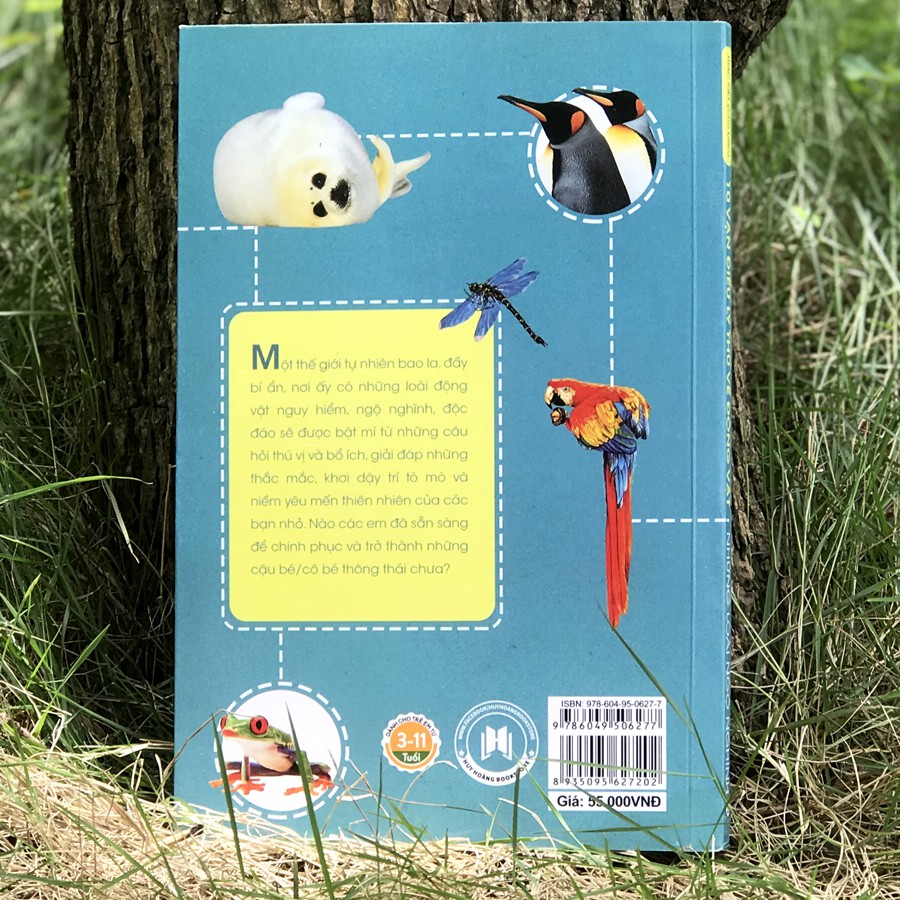 10 vạn điều lý thú về động vật - những loài ngộ nghĩnh - Ảnh 4