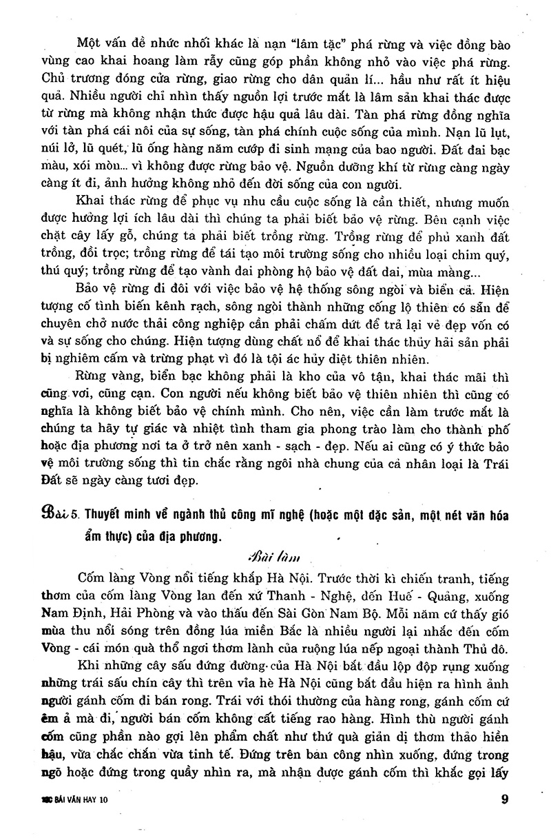 100 bài văn hay 10 - Ảnh 9