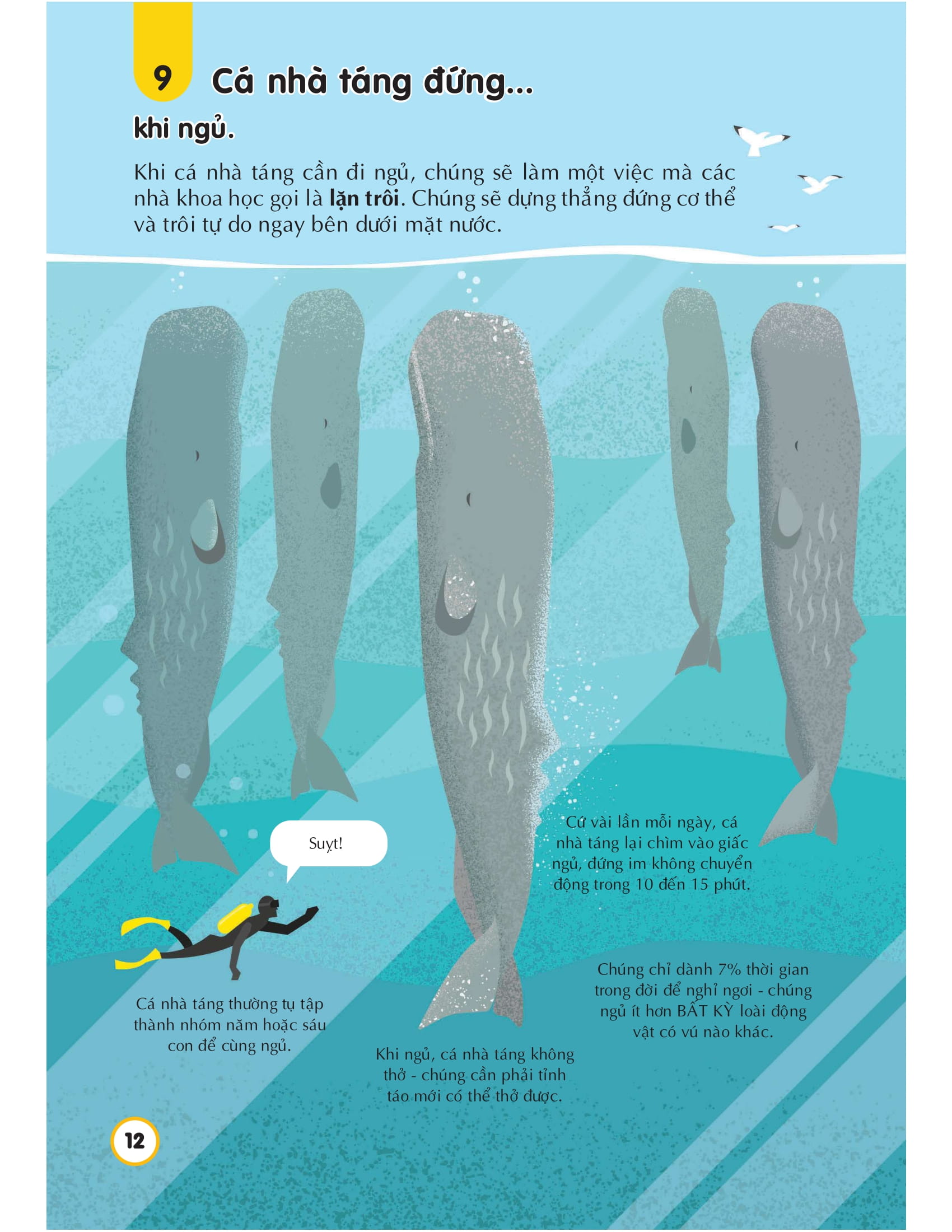 100 bí ẩn đáng kinh ngạc về các đại dương - 100 things to know about the oceans - Ảnh 12