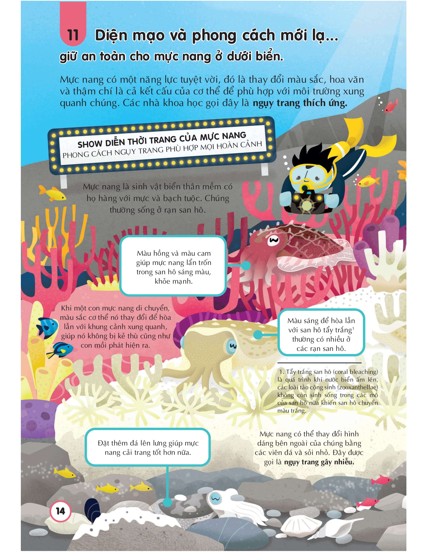 100 bí ẩn đáng kinh ngạc về các đại dương - 100 things to know about the oceans - Ảnh 14