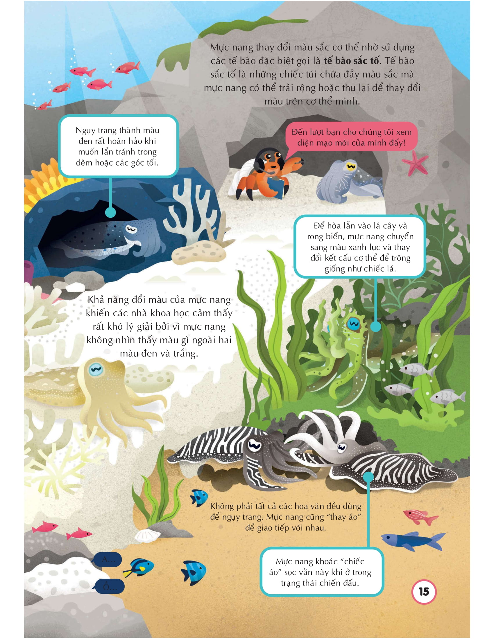 100 bí ẩn đáng kinh ngạc về các đại dương - 100 things to know about the oceans - Ảnh 15