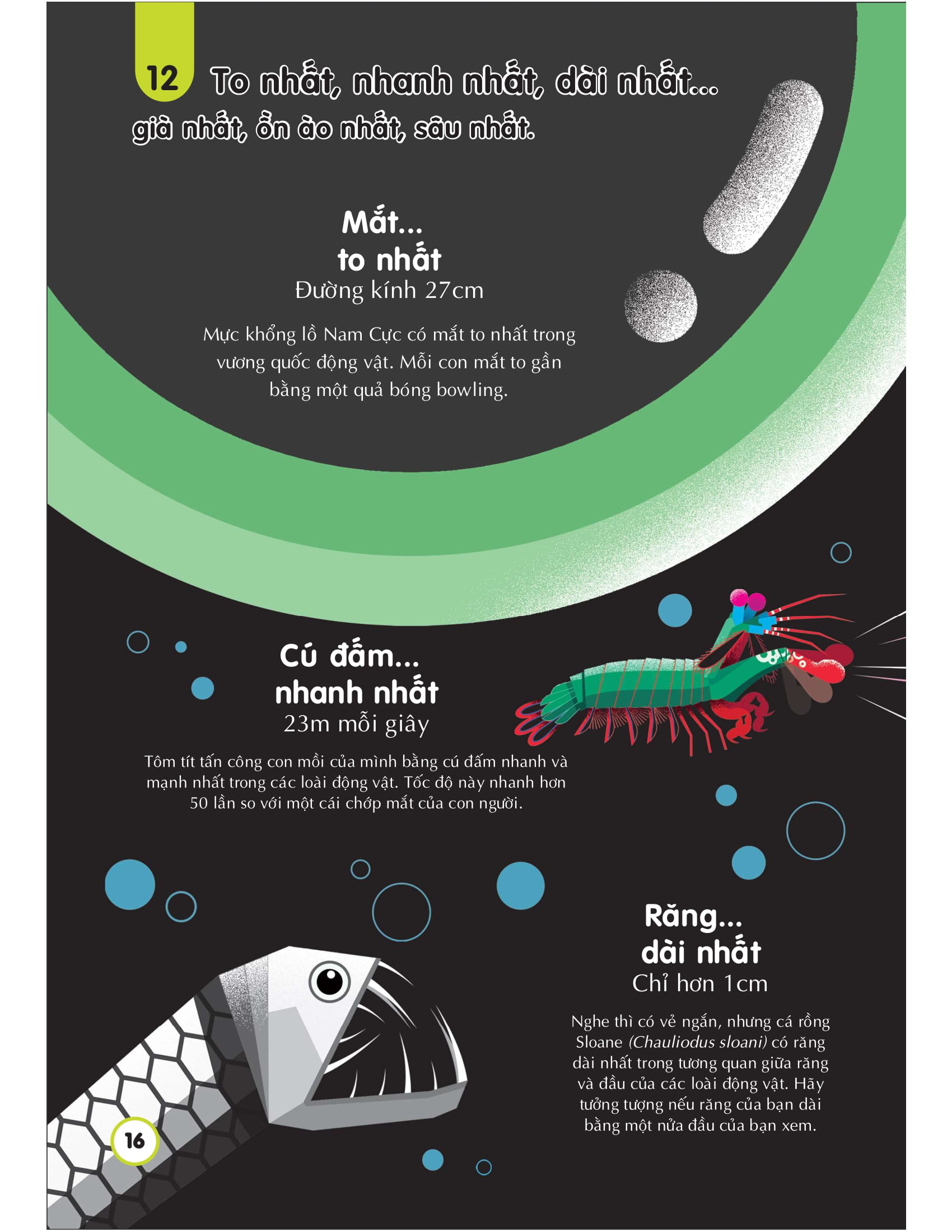 100 bí ẩn đáng kinh ngạc về các đại dương - 100 things to know about the oceans - Ảnh 16