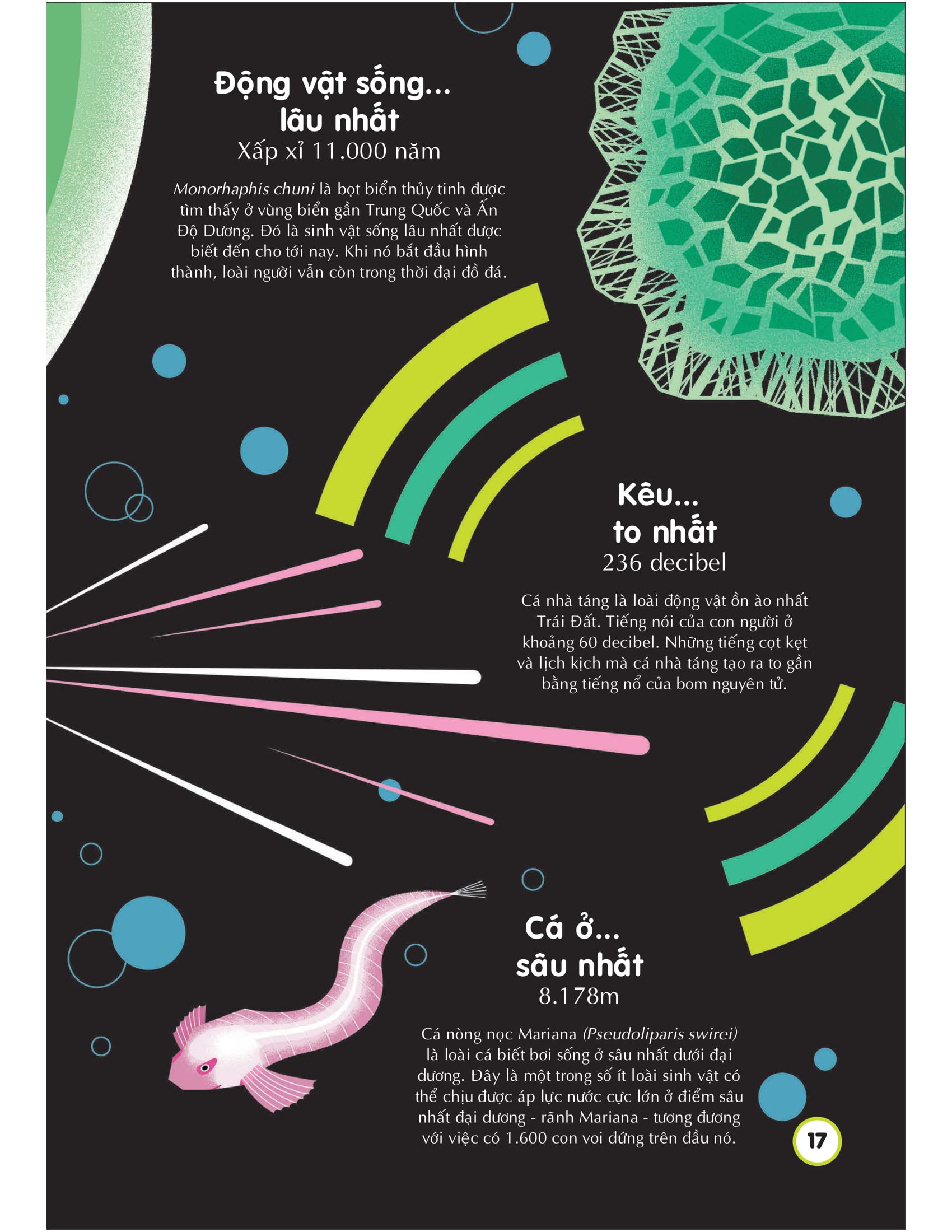 100 bí ẩn đáng kinh ngạc về các đại dương - 100 things to know about the oceans - Ảnh 17