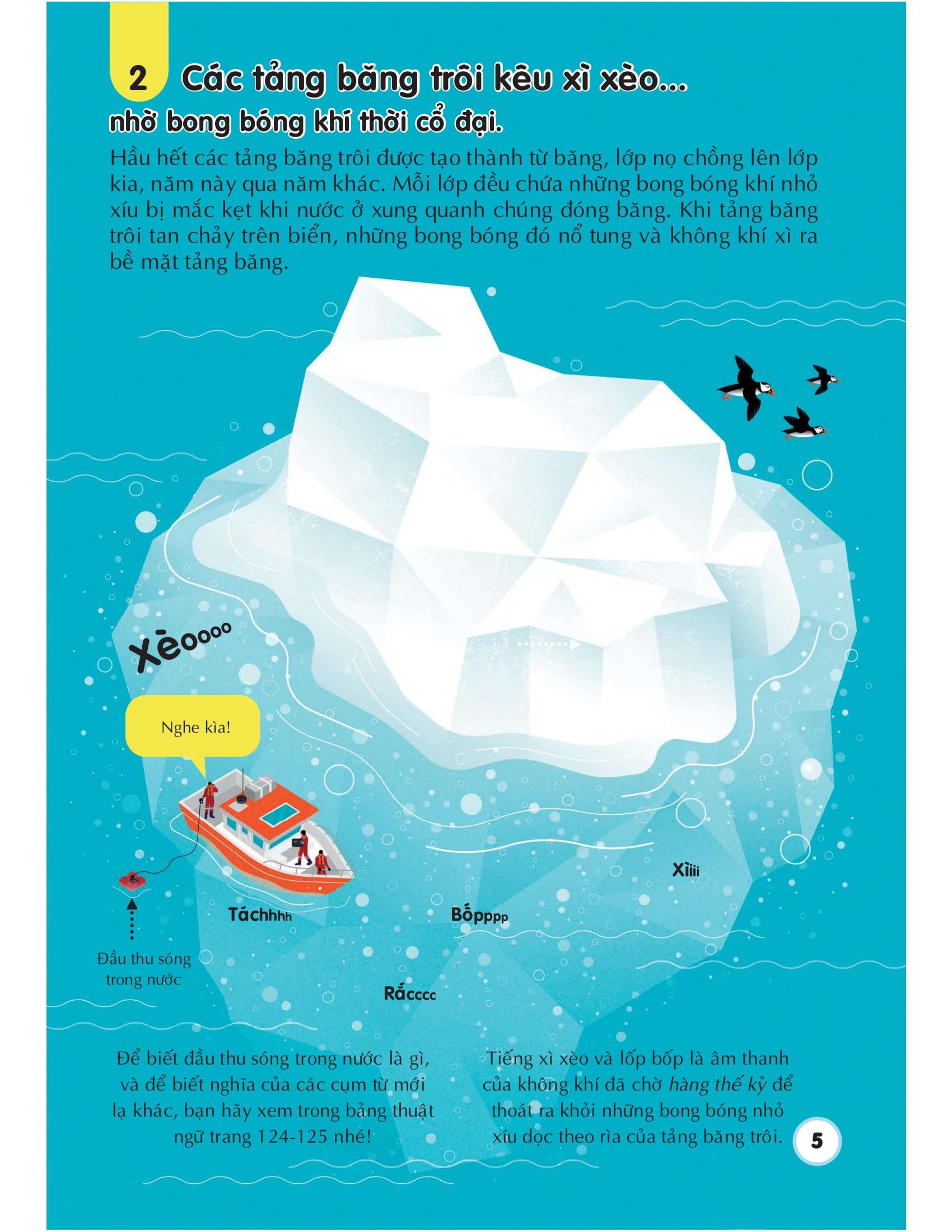 100 bí ẩn đáng kinh ngạc về các đại dương - 100 things to know about the oceans - Ảnh 5