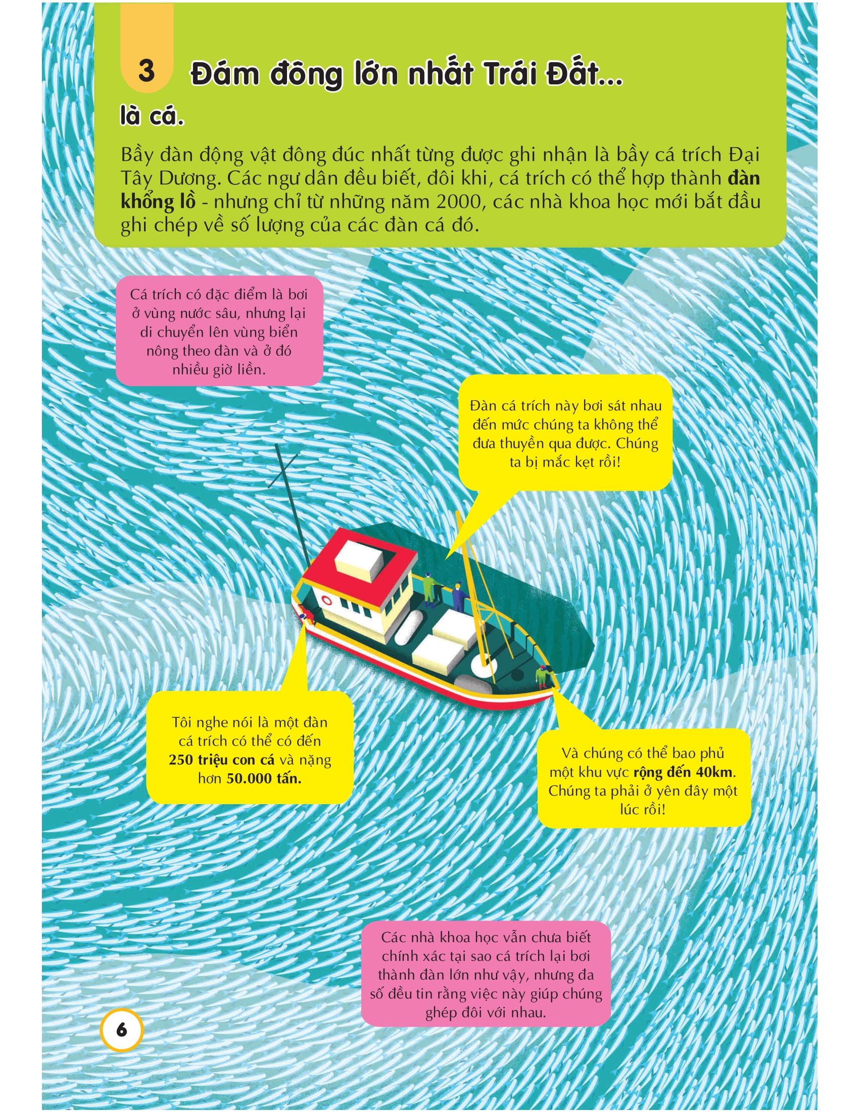 100 bí ẩn đáng kinh ngạc về các đại dương - 100 things to know about the oceans - Ảnh 6