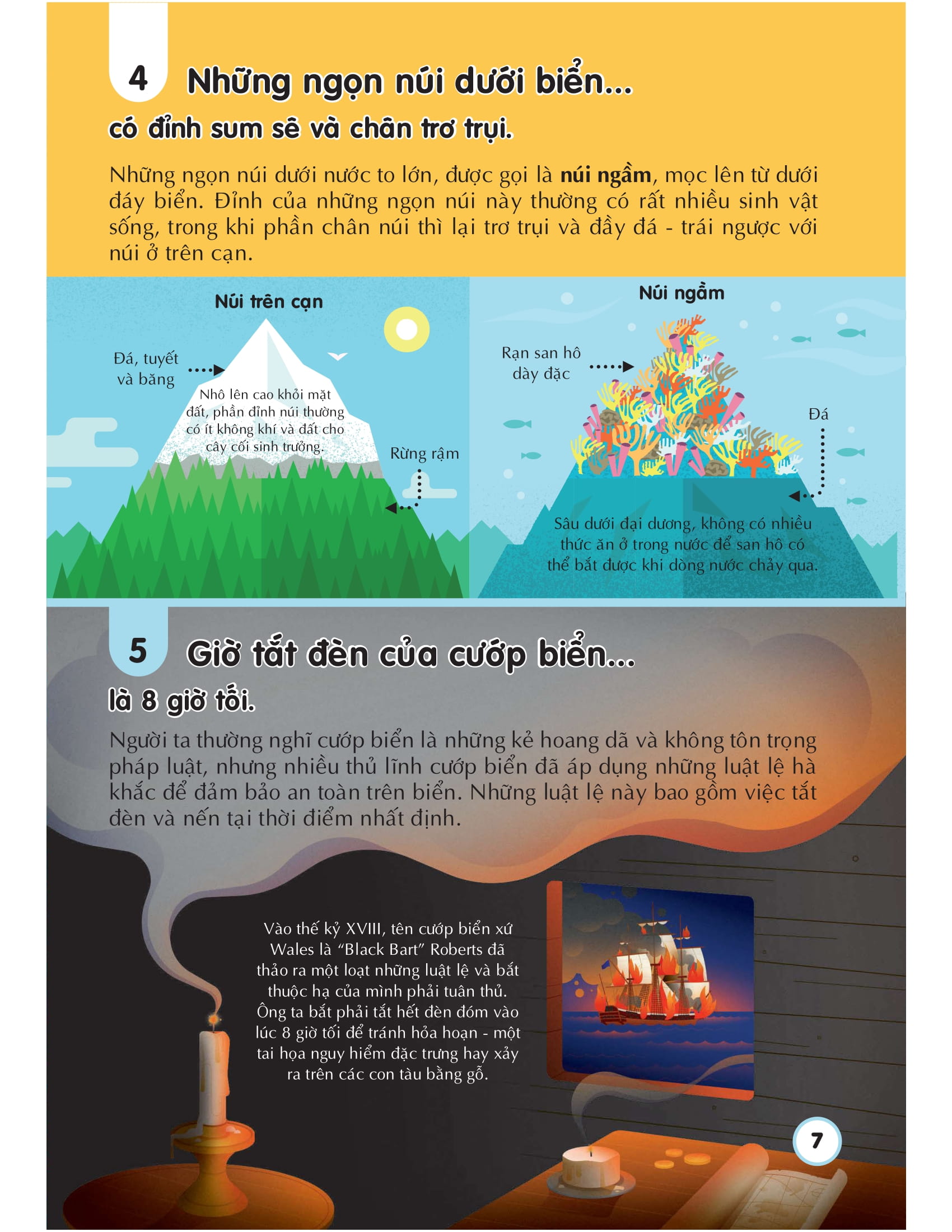 100 bí ẩn đáng kinh ngạc về các đại dương - 100 things to know about the oceans - Ảnh 7