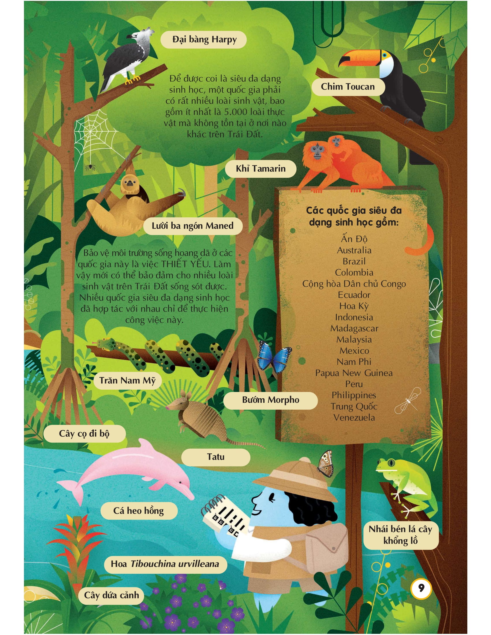 100 bí ẩn đáng kinh ngạc về giải cứu trái đất - 100 things to know about saving the planet - Ảnh 8