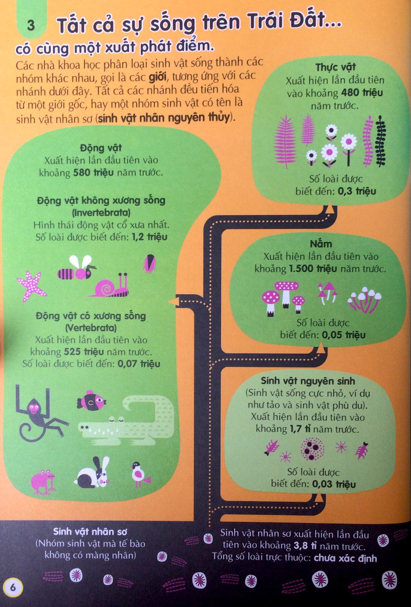 100 bí ẩn đáng kinh ngạc về khoa học - Ảnh 7