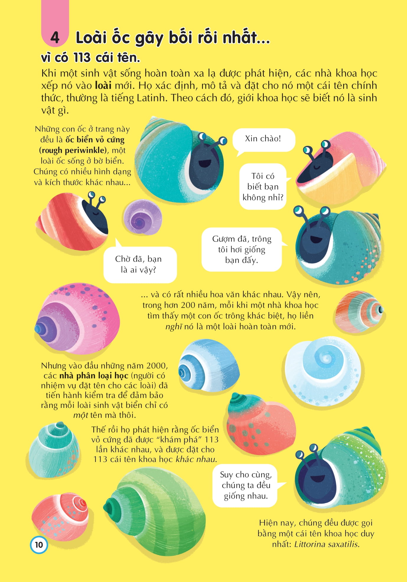 100 bí ẩn đáng kinh ngạc về những điều chưa biết - 100 things to know about the unknown - Ảnh 9