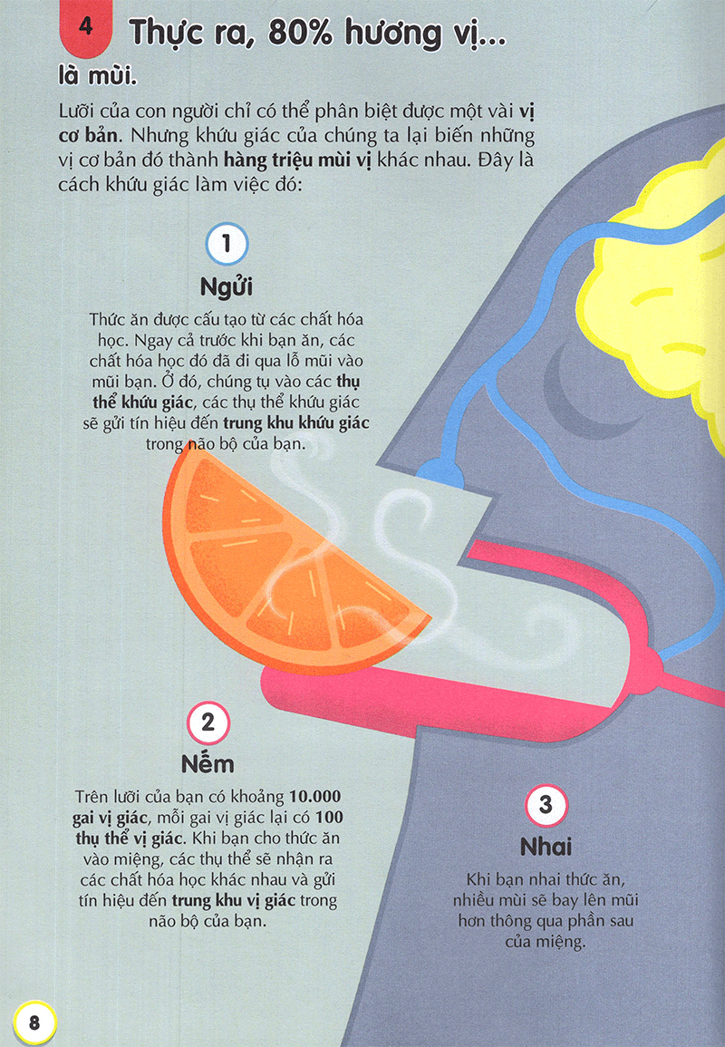 100 bí ẩn đáng kinh ngạc về thức ăn - 100 things to know about food - Ảnh 11