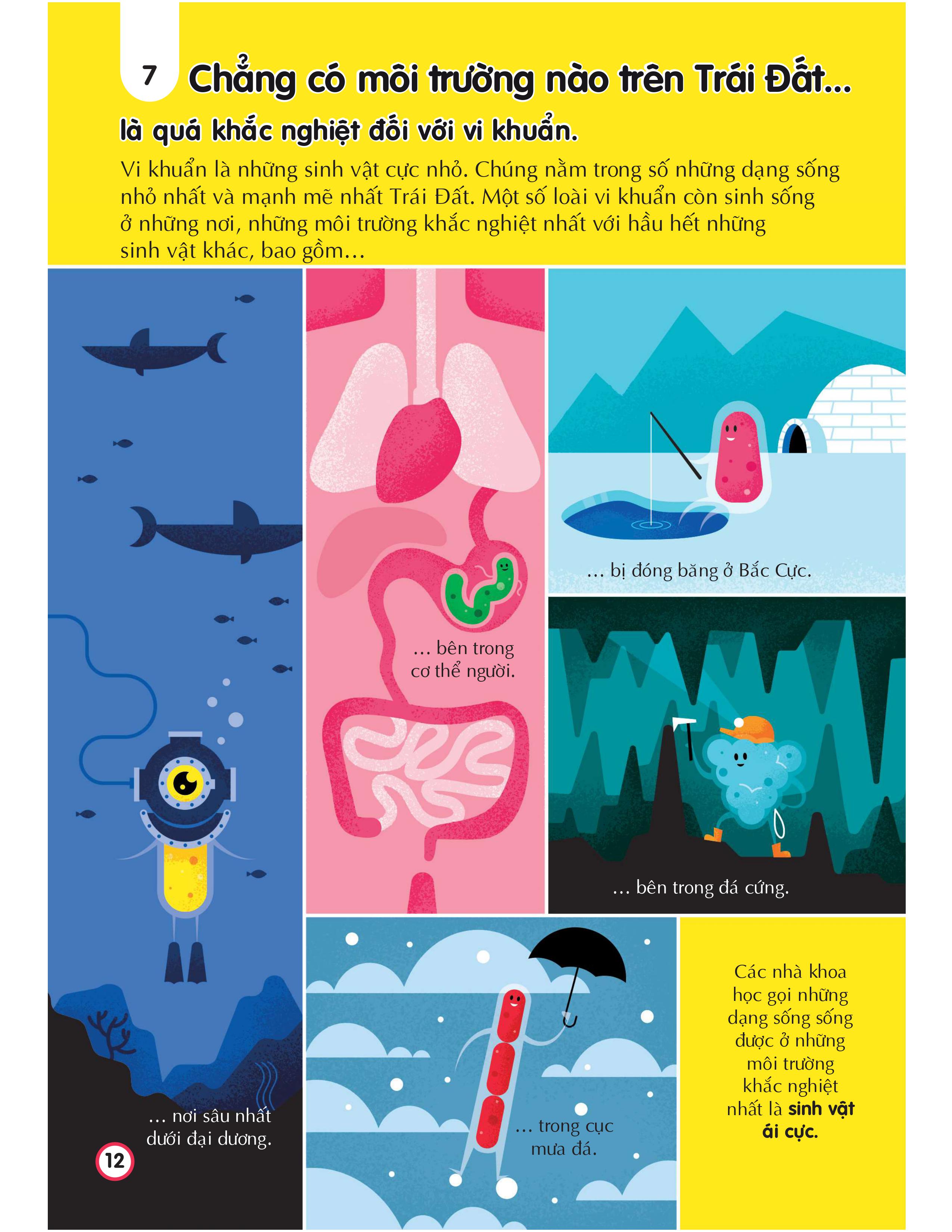 100 bí ẩn đáng kinh ngạc về trái đất - 100 things to know about planet earth - Ảnh 12