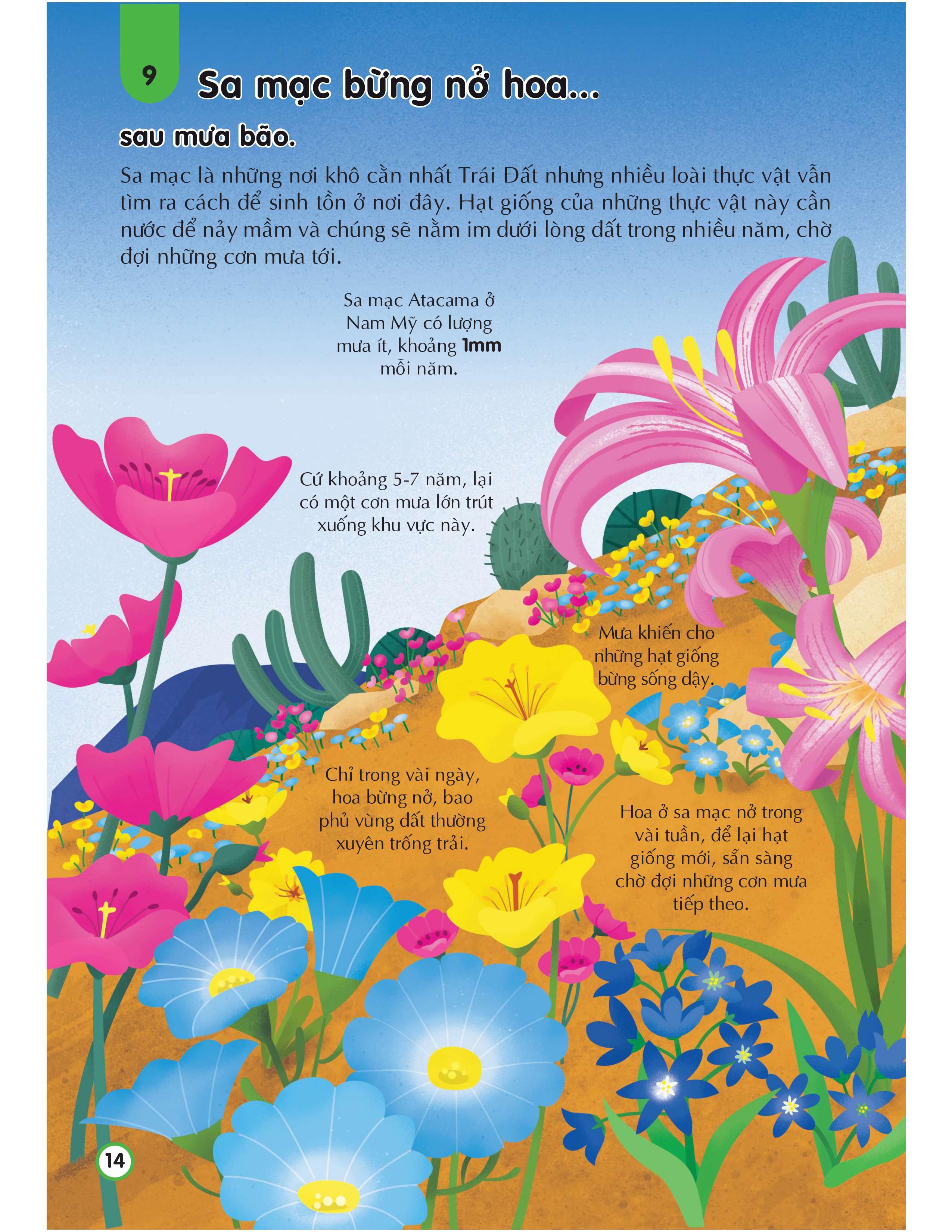 100 bí ẩn đáng kinh ngạc về trái đất - 100 things to know about planet earth - Ảnh 14