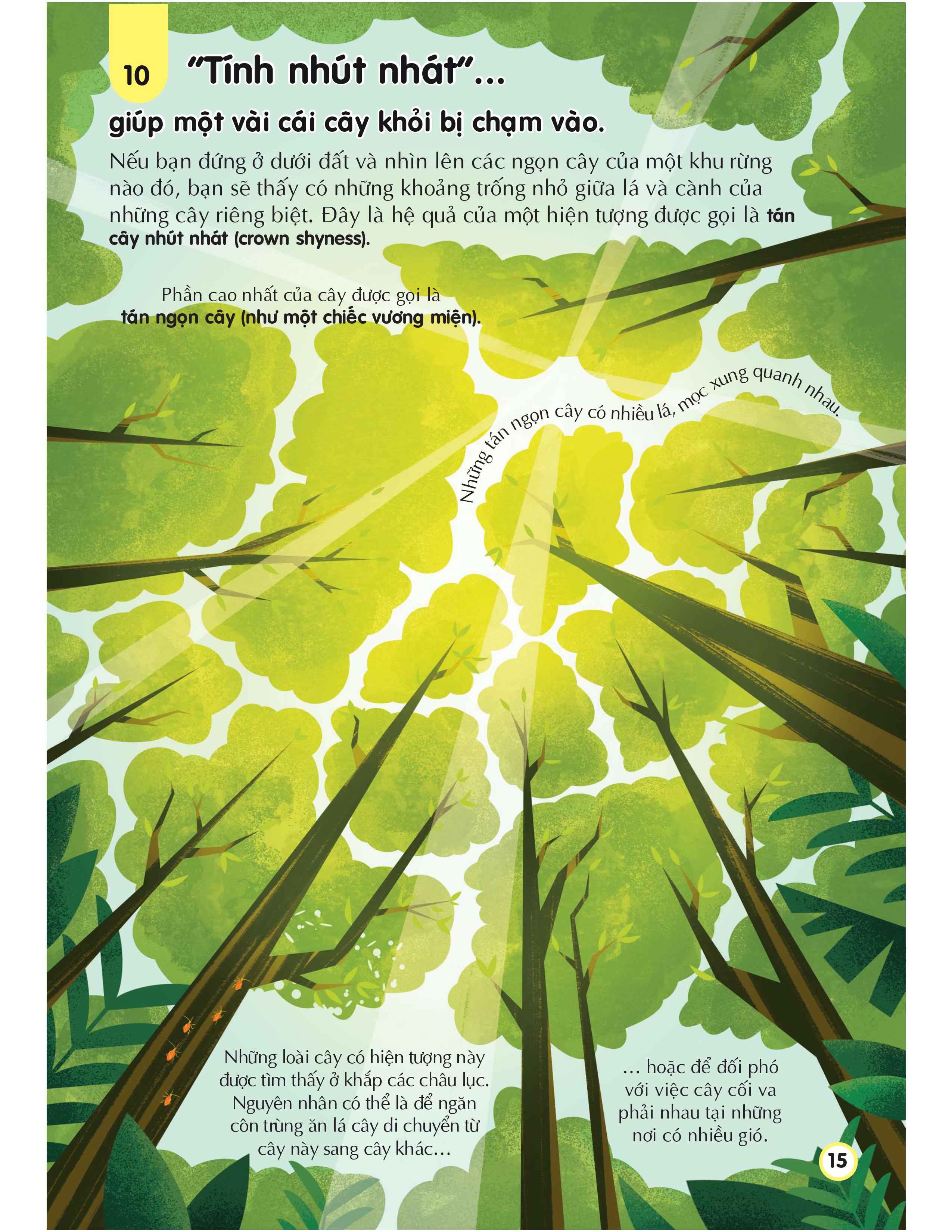 100 bí ẩn đáng kinh ngạc về trái đất - 100 things to know about planet earth - Ảnh 15