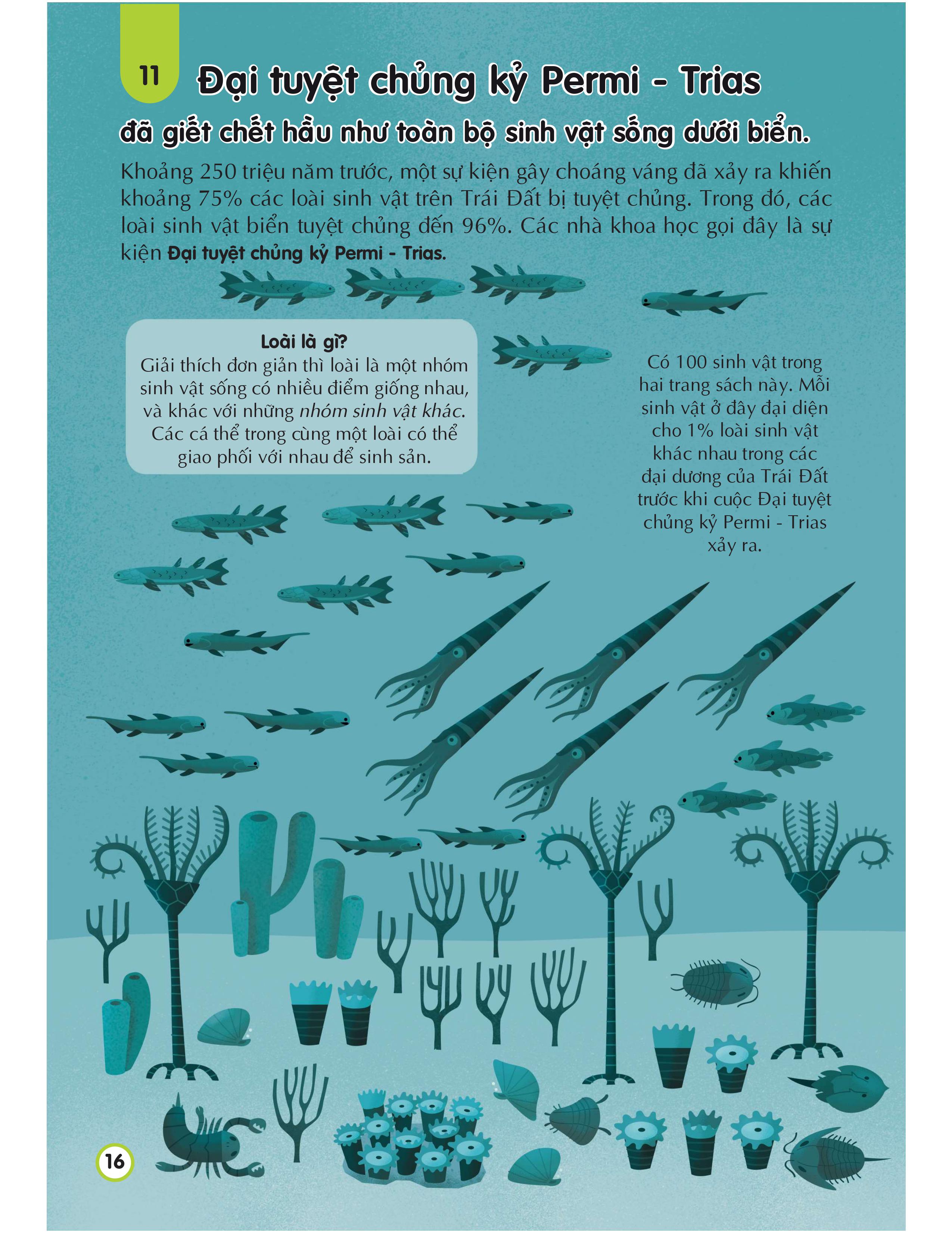 100 bí ẩn đáng kinh ngạc về trái đất - 100 things to know about planet earth - Ảnh 16