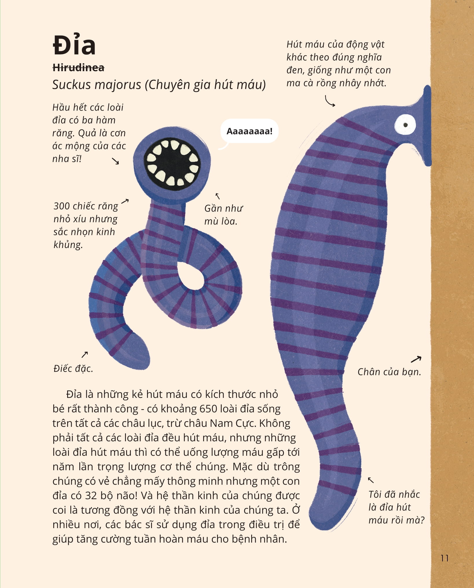 100++ bí ẩn về tự nhiên - những động vật đáng kinh ngạc vô dụng nhất - Ảnh 10