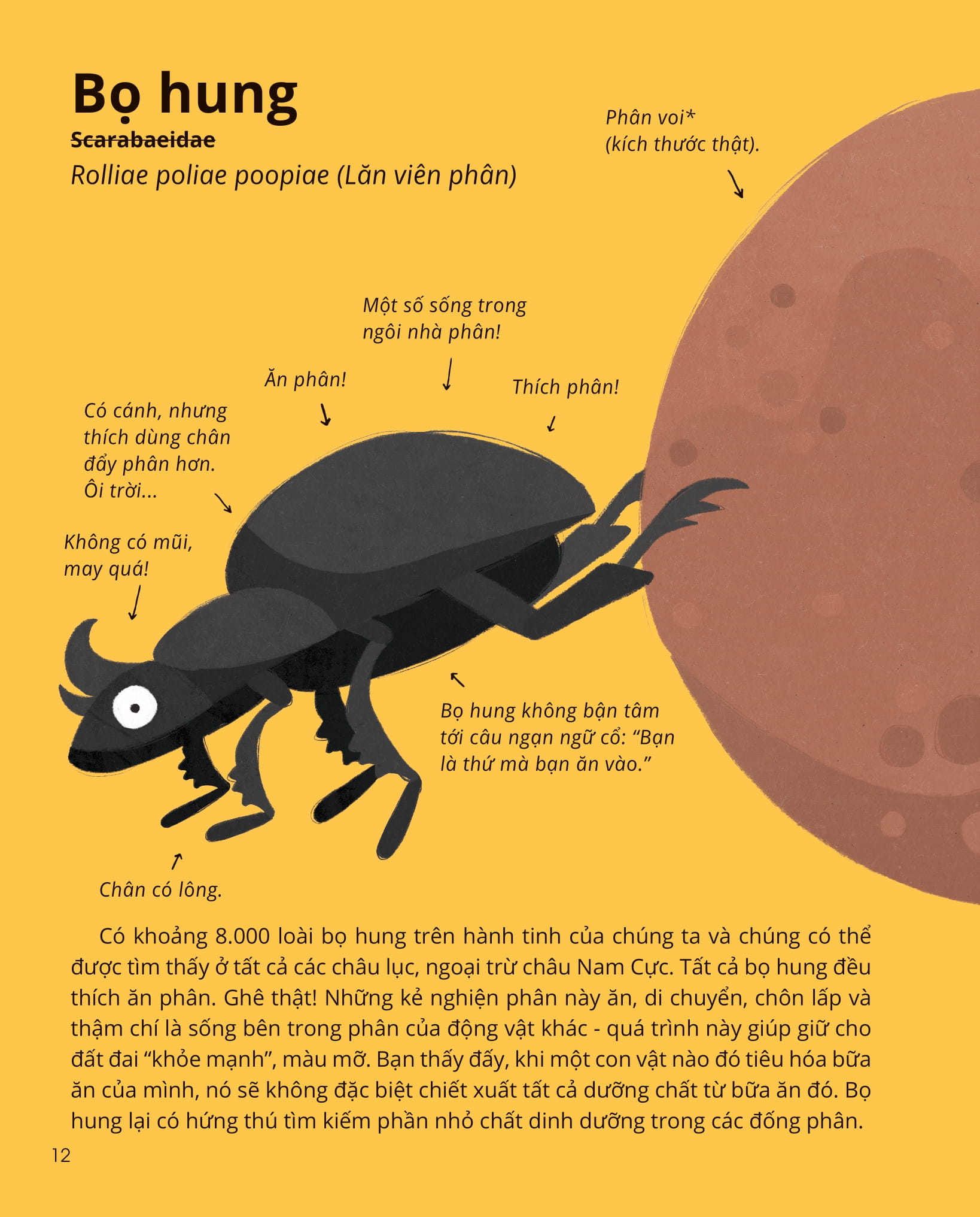 100++ bí ẩn về tự nhiên - những động vật đáng kinh ngạc vô dụng nhất - Ảnh 11