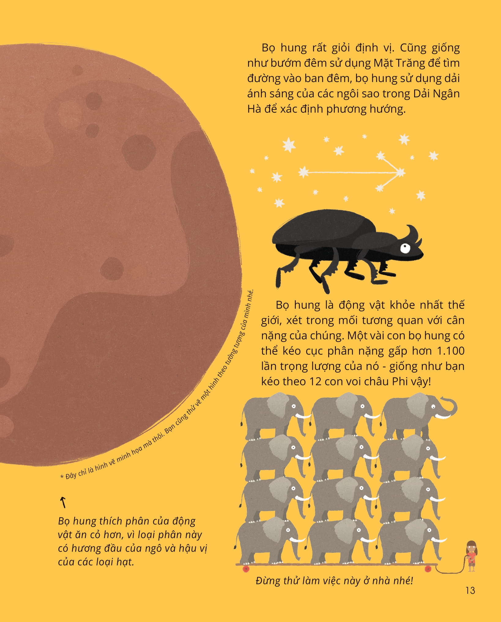 100++ bí ẩn về tự nhiên - những động vật đáng kinh ngạc vô dụng nhất - Ảnh 12