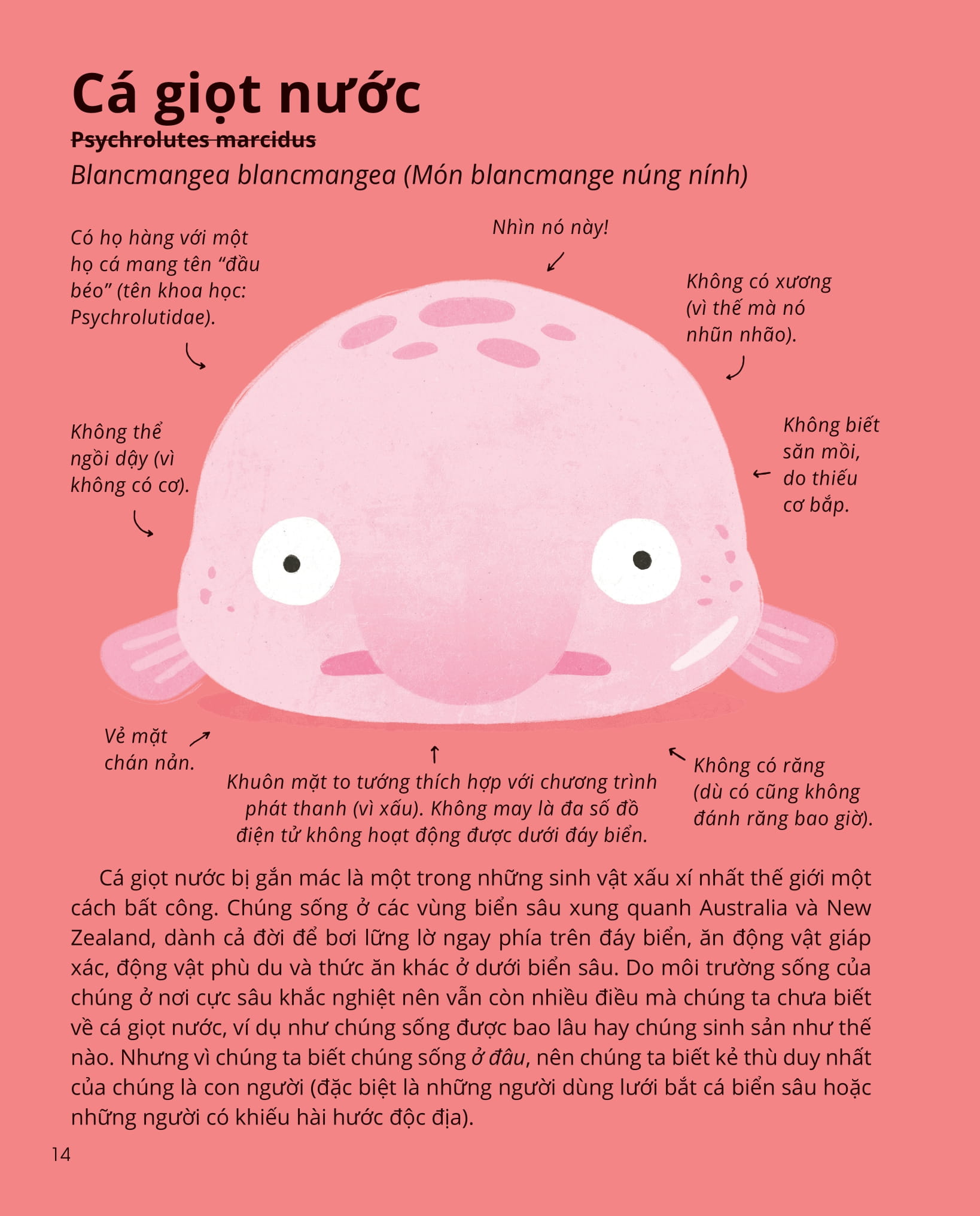 100++ bí ẩn về tự nhiên - những động vật đáng kinh ngạc vô dụng nhất - Ảnh 13