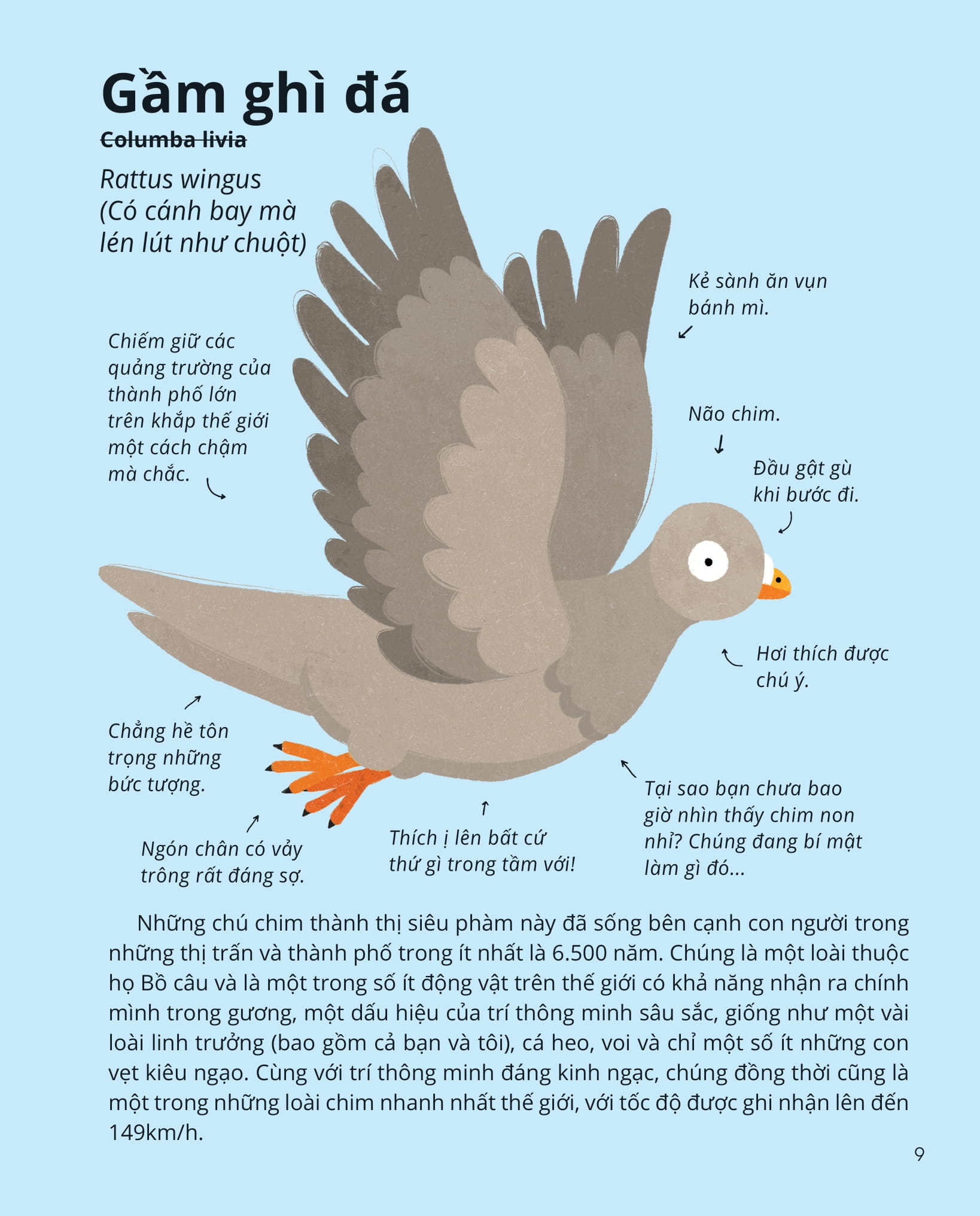 100++ bí ẩn về tự nhiên - những động vật đáng kinh ngạc vô dụng nhất - Ảnh 8