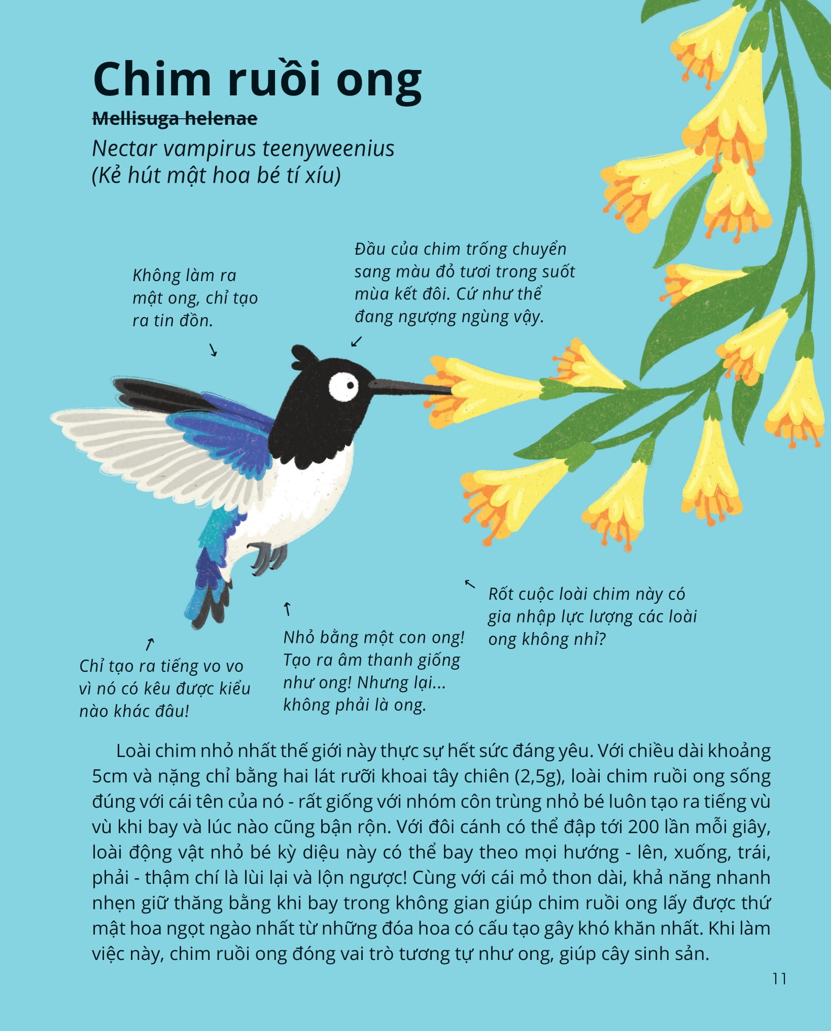 100++ bí ẩn về tự nhiên - những động vật kỳ diệu nực cười nhất - Ảnh 10