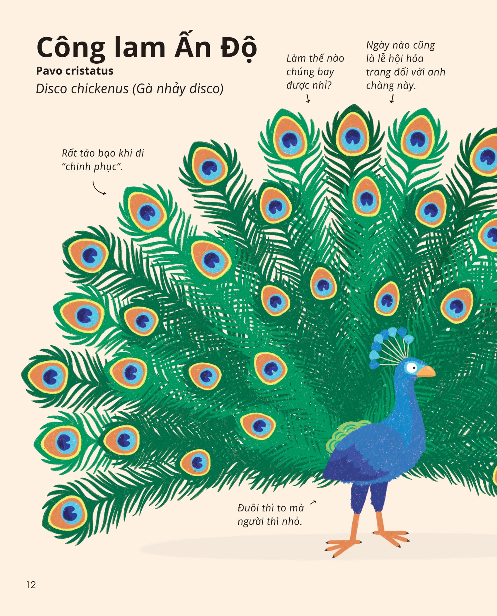 100++ bí ẩn về tự nhiên - những động vật kỳ diệu nực cười nhất - Ảnh 11