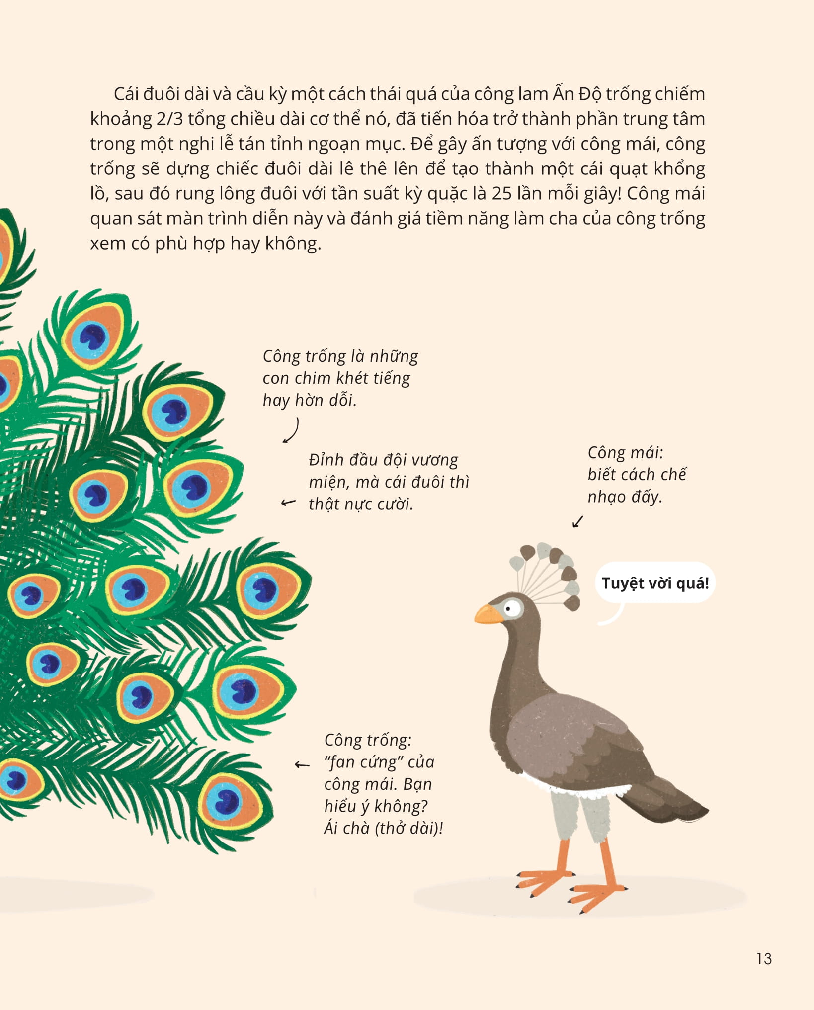 100++ bí ẩn về tự nhiên - những động vật kỳ diệu nực cười nhất - Ảnh 12