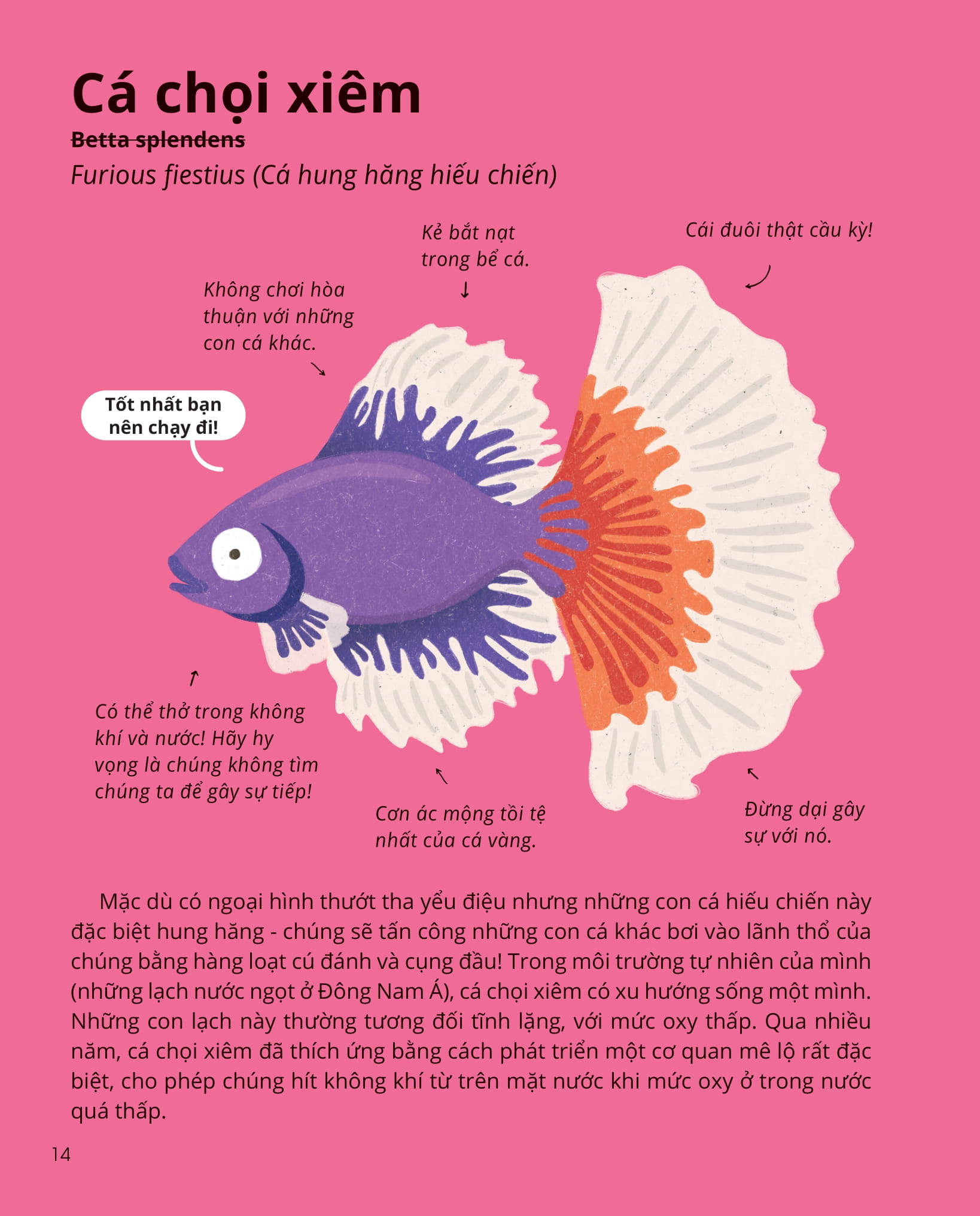 100++ bí ẩn về tự nhiên - những động vật kỳ diệu nực cười nhất - Ảnh 13