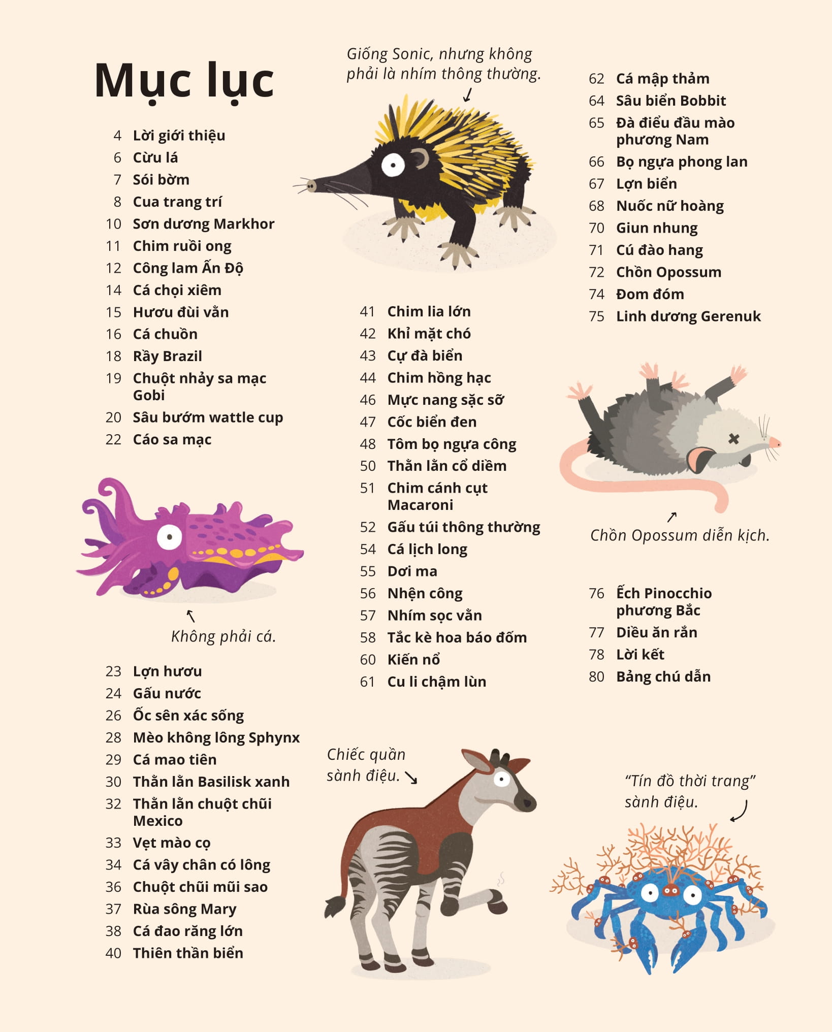 100++ bí ẩn về tự nhiên - những động vật kỳ diệu nực cười nhất - Ảnh 2