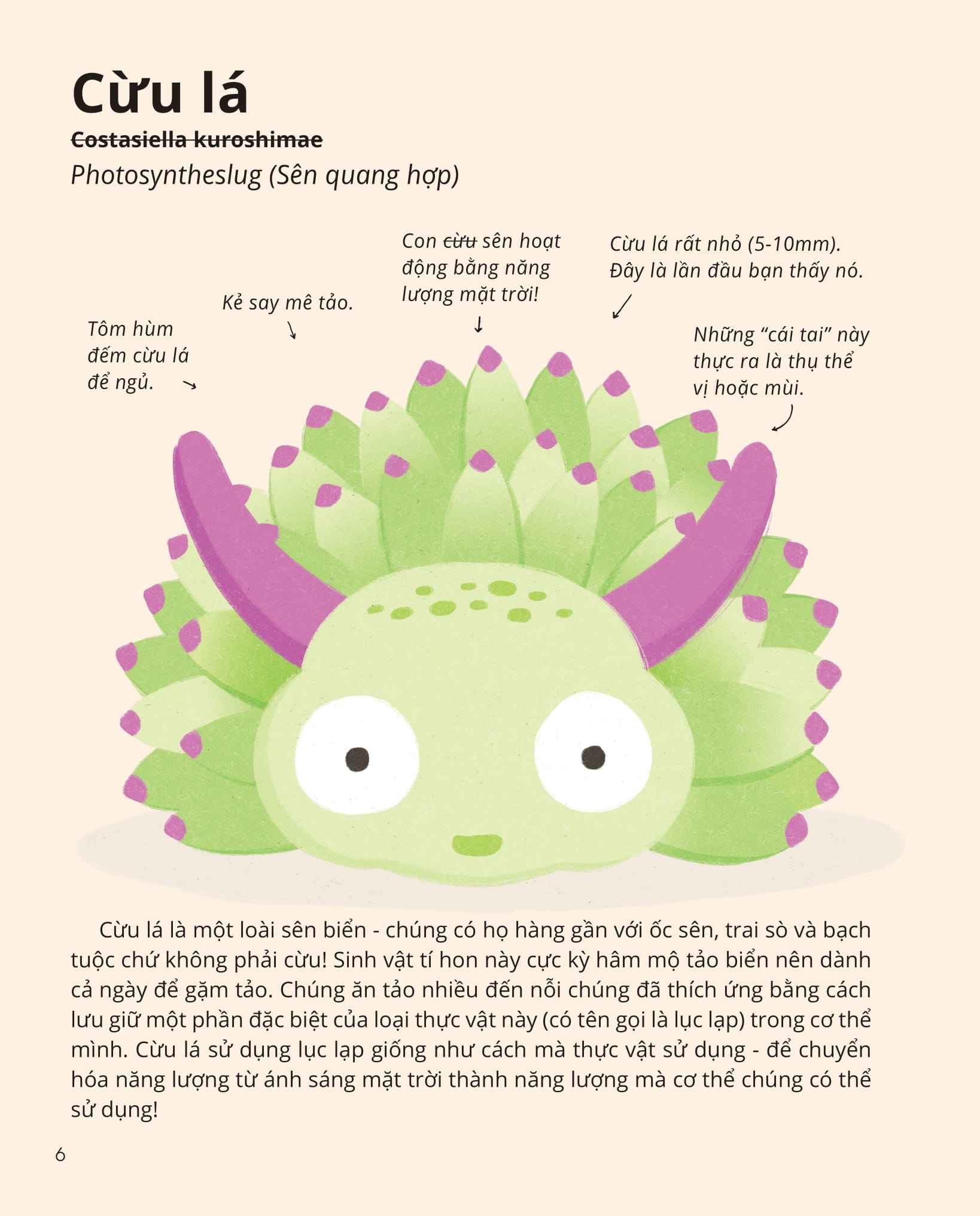 100++ bí ẩn về tự nhiên - những động vật kỳ diệu nực cười nhất - Ảnh 5