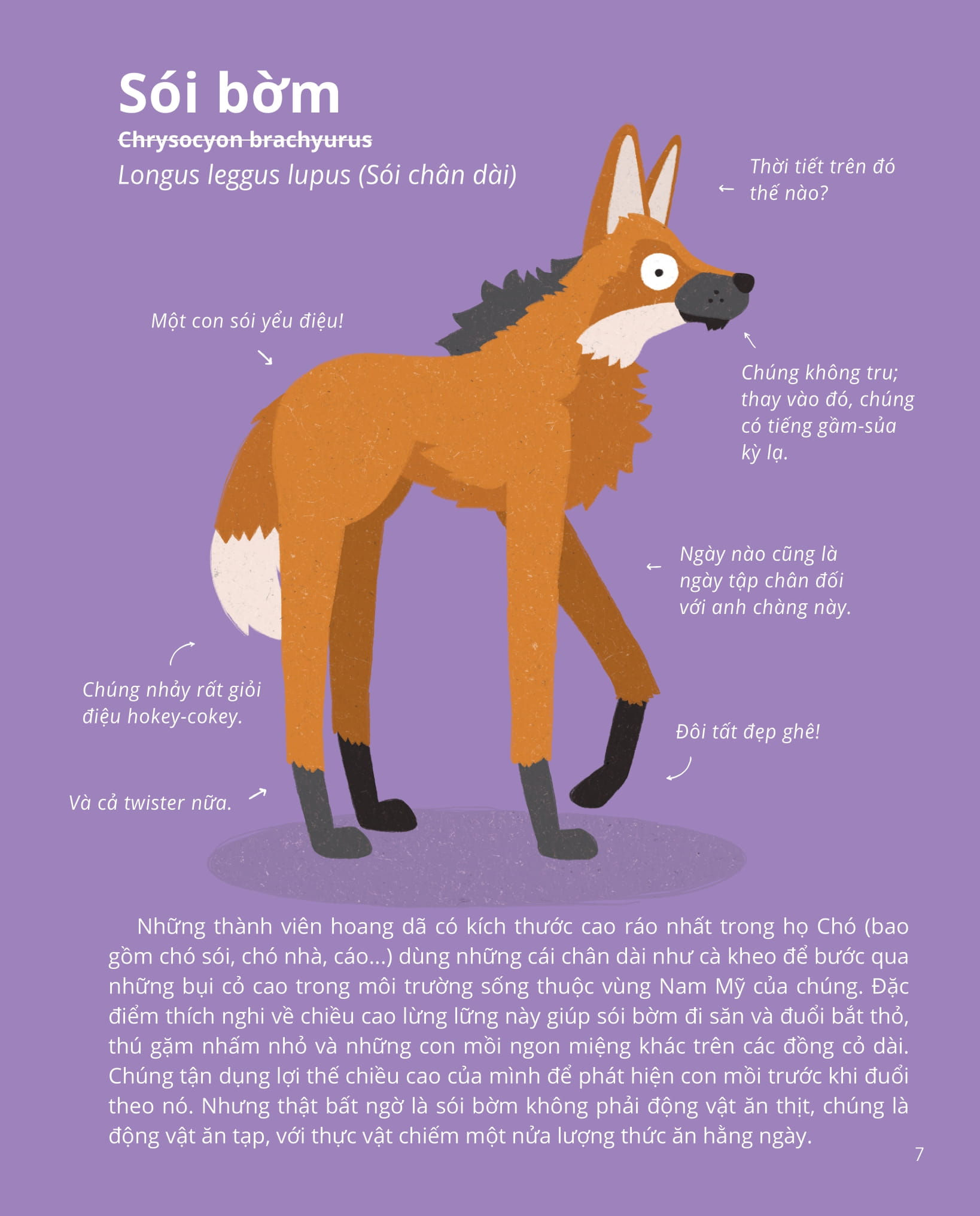 100++ bí ẩn về tự nhiên - những động vật kỳ diệu nực cười nhất - Ảnh 6