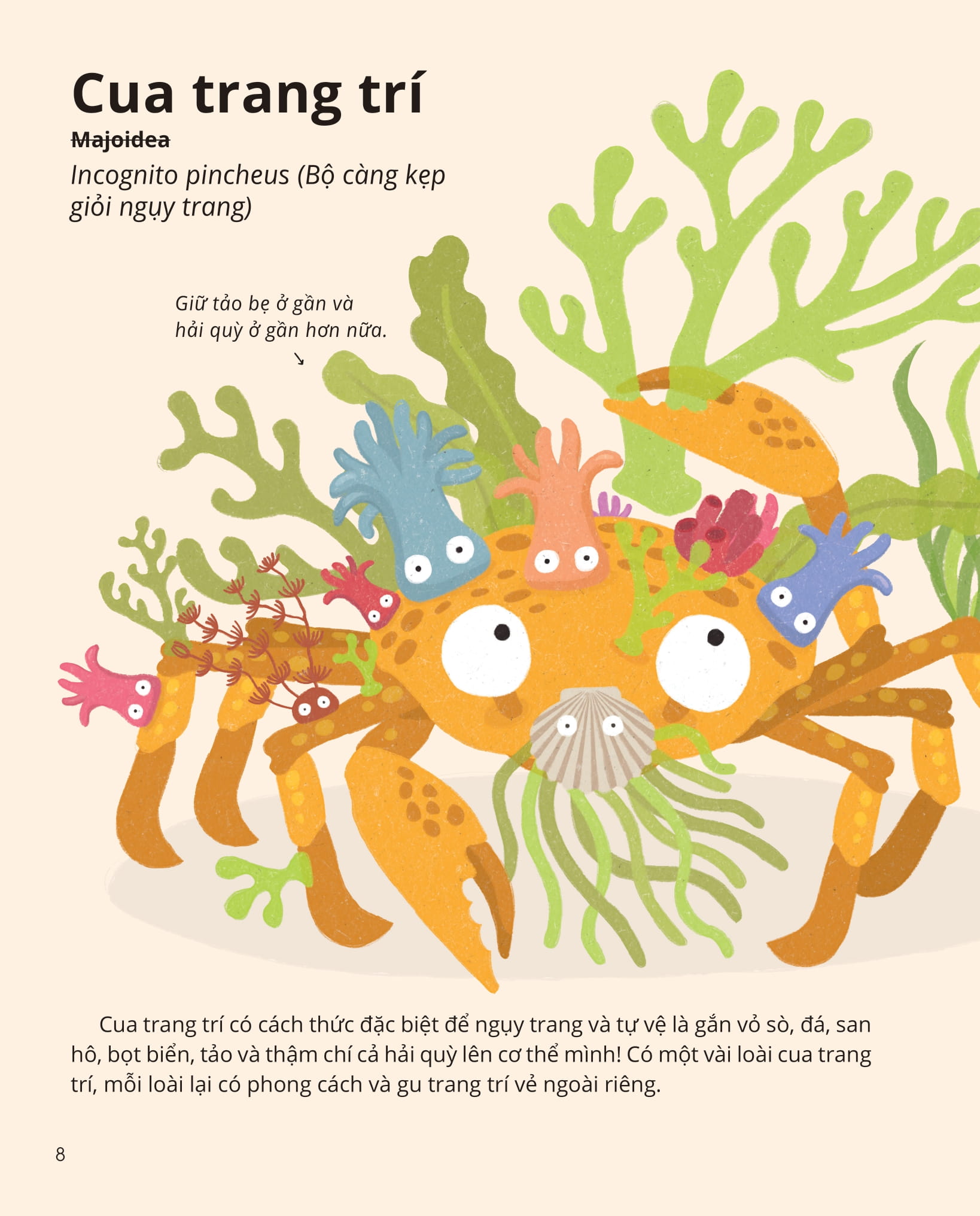 100++ bí ẩn về tự nhiên - những động vật kỳ diệu nực cười nhất - Ảnh 7