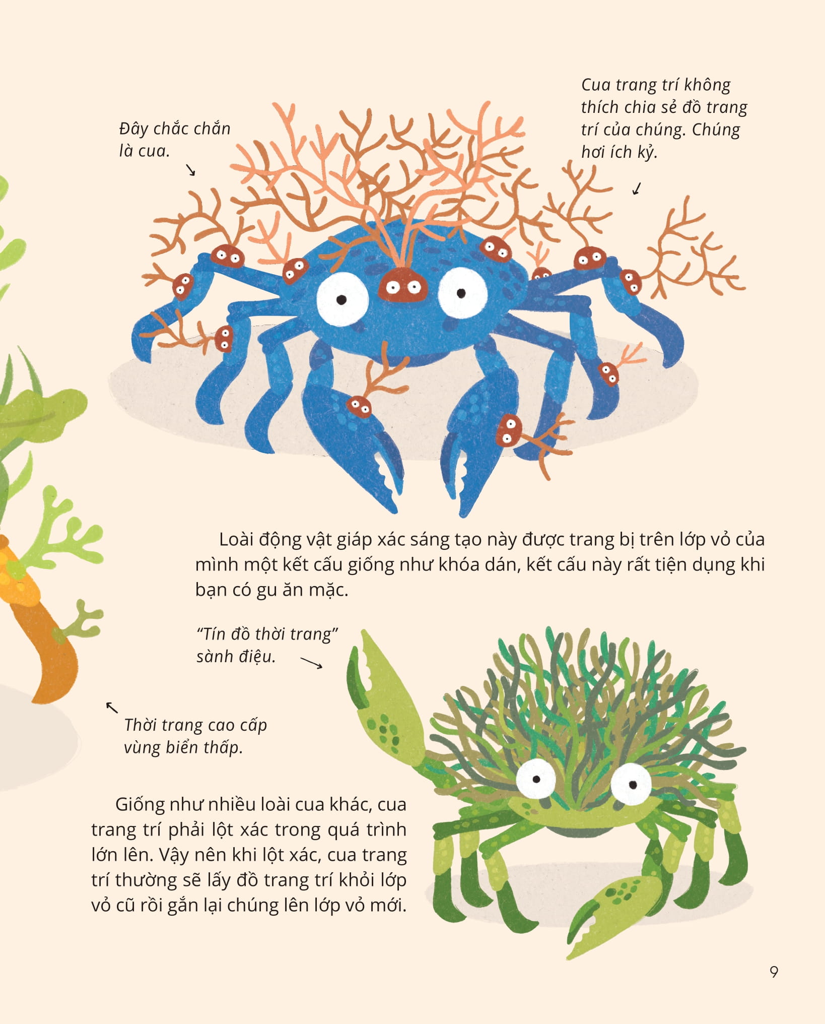 100++ bí ẩn về tự nhiên - những động vật kỳ diệu nực cười nhất - Ảnh 8