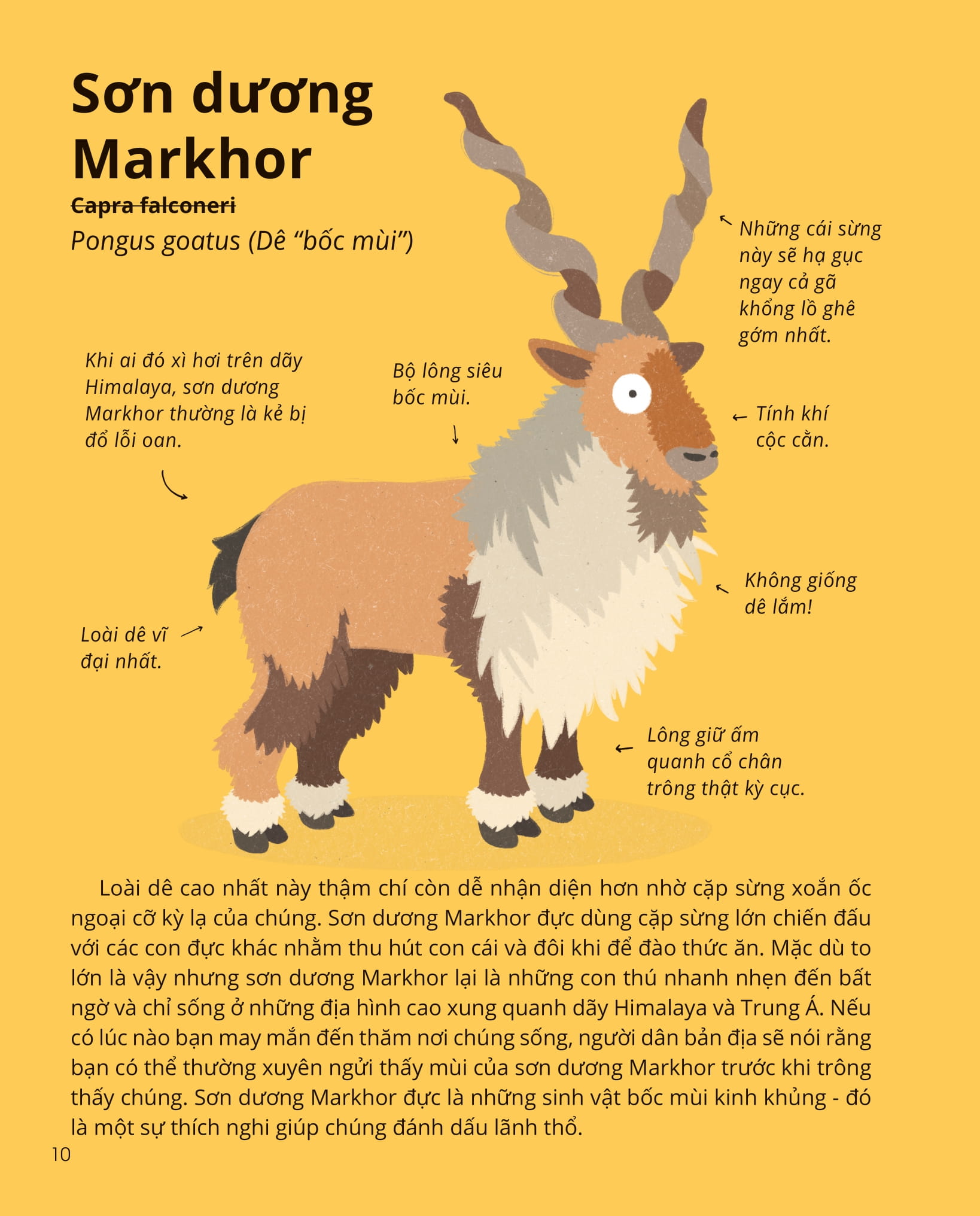 100++ bí ẩn về tự nhiên - những động vật kỳ diệu nực cười nhất - Ảnh 9