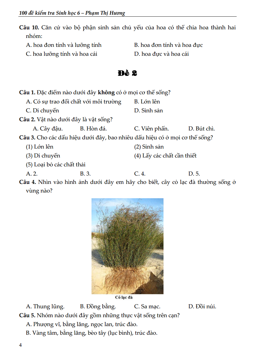 100 đề kiểm tra sinh học 6 - Ảnh 4