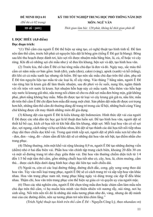 100 đề minh họa tốt nghiệp thpt 2025 - môn ngữ văn - Ảnh 10