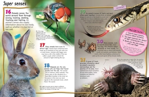 100 facts: animal life - Ảnh 3