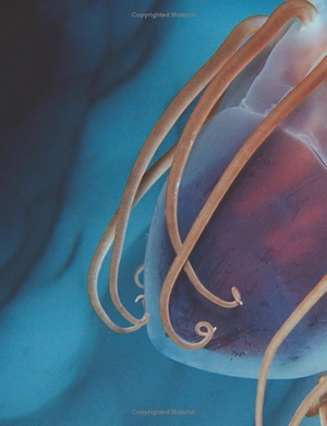 100 facts deep ocean - Ảnh 4