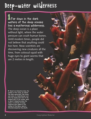 100 facts deep ocean - Ảnh 7