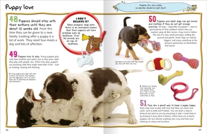 100 facts dogs and puppies - Ảnh 4