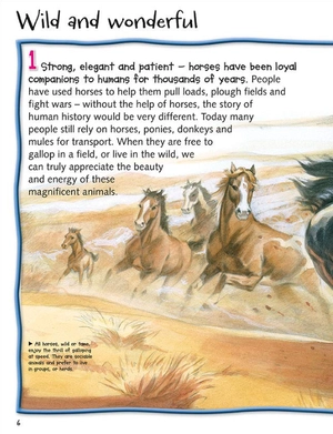 100 facts horses & ponies - Ảnh 3