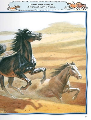 100 facts horses & ponies - Ảnh 4