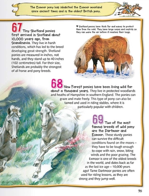 100 facts horses & ponies - Ảnh 6