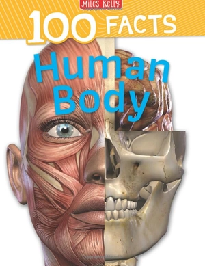 100 facts: human body - Ảnh 2