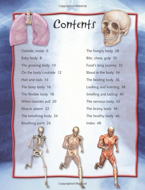 100 facts: human body - Ảnh 5