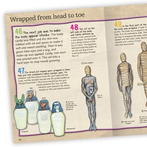 100 facts mummies - Ảnh 3
